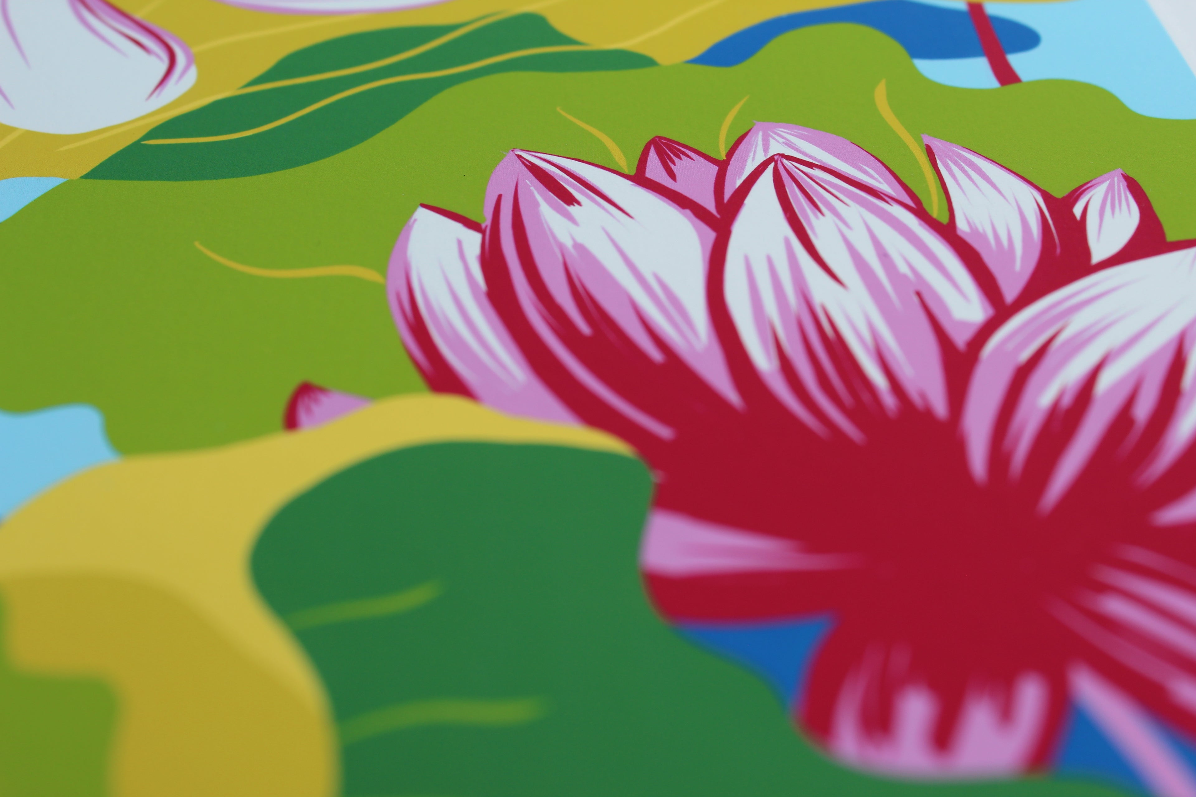 Lotus